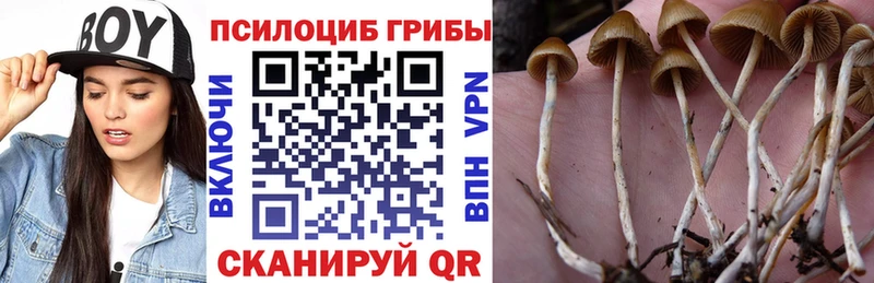 Псилоцибиновые грибы GOLDEN TEACHER  нарко площадка Telegram  Перевоз 